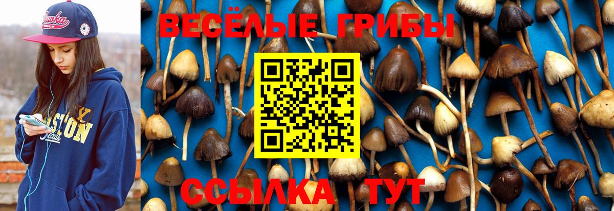 Галлюциногенные грибы мицелий  Вход с VPN  хочу наркоту  Ейск  Галлюциногенные грибы мицелий 